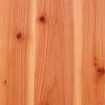 cedar